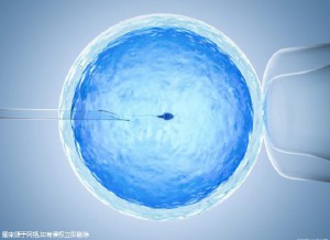 供卵代生医院代生包成功
